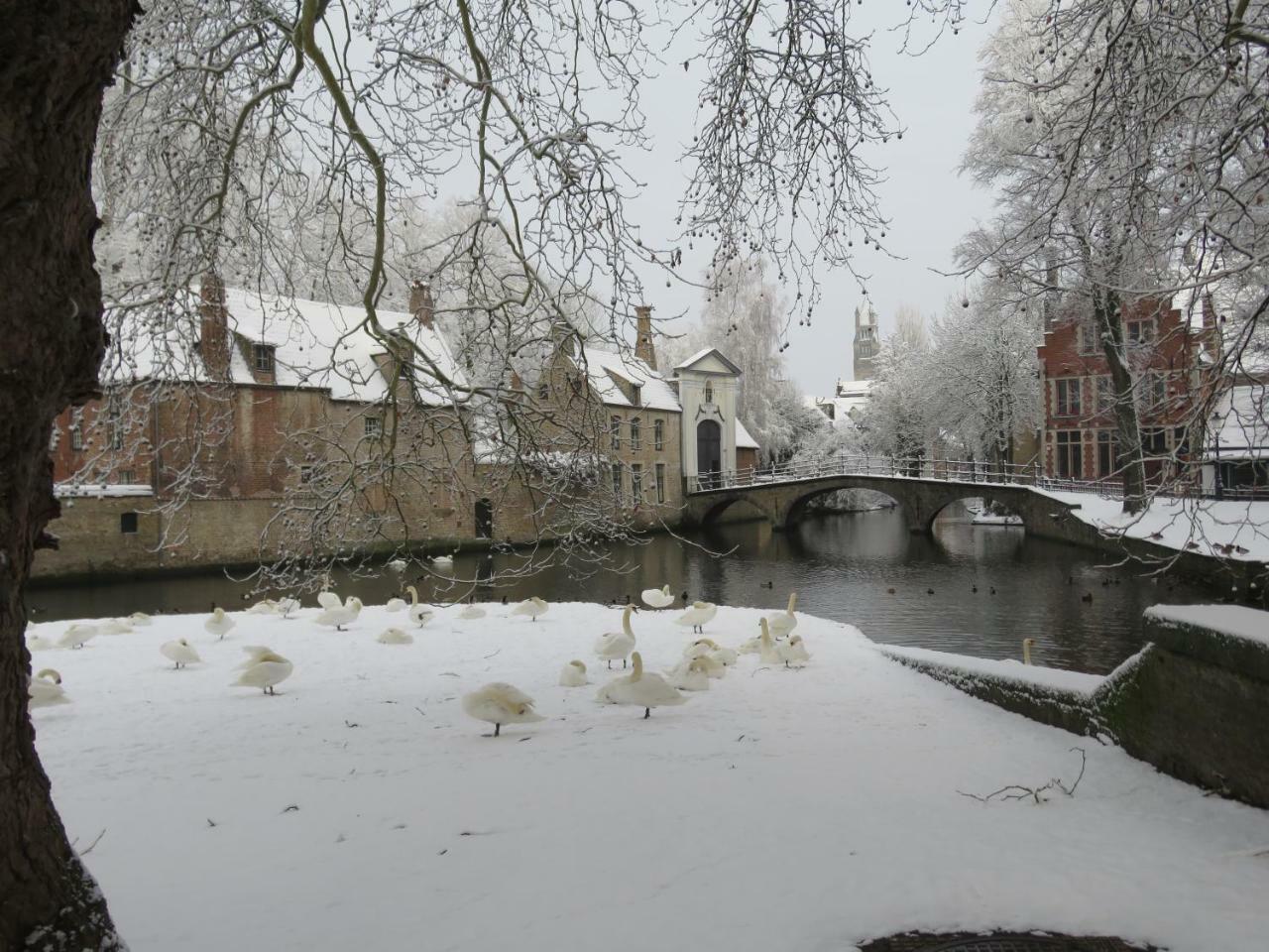 Forgatz' Zomerhuisje Brugge Eksteriør bilde